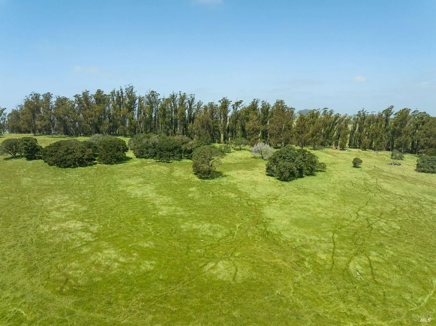 130 Jewett Road - Photo 10