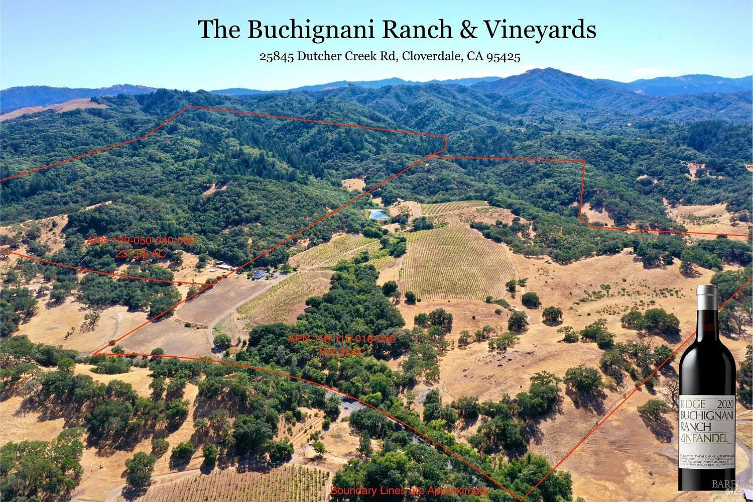 25845 Dutcher Creek Road - Photo 2