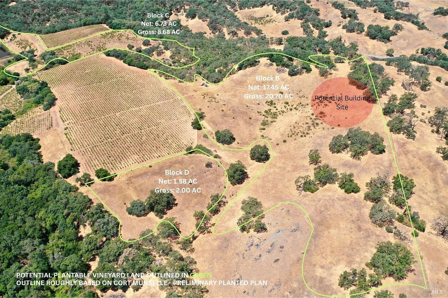 25845 Dutcher Creek Road - Photo 11