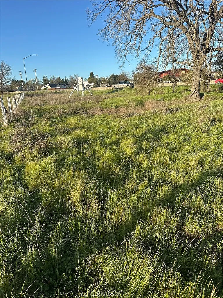 705 Shiloh Rd - Photo 11