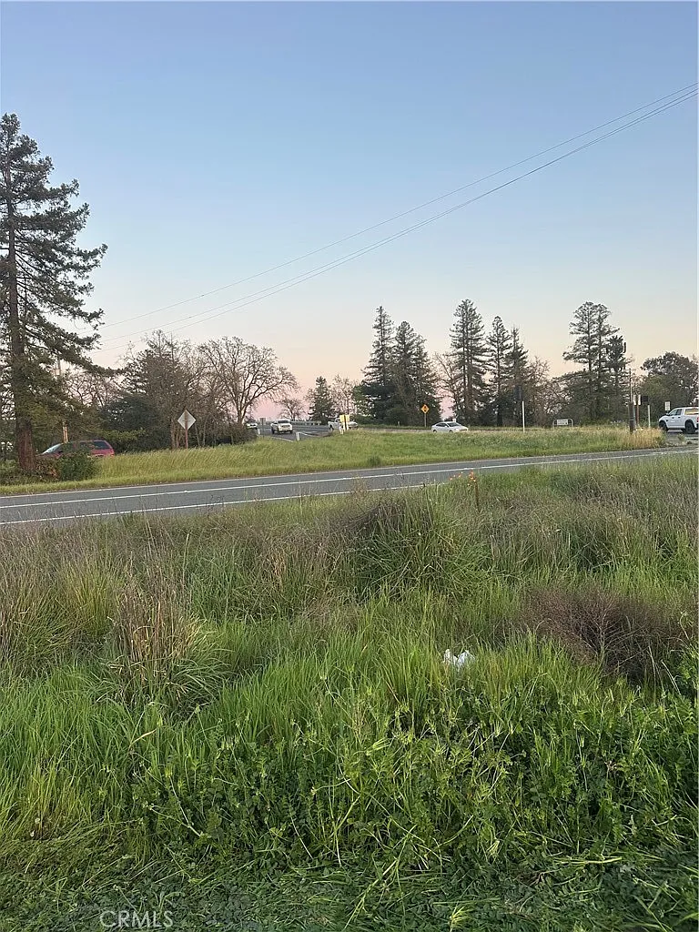 705 Shiloh Rd - Photo 3