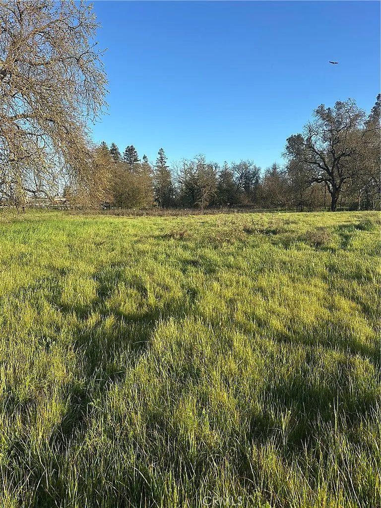 705 Shiloh Rd - Photo 9
