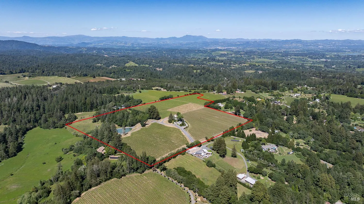 14640 Morelli Lane - Photo 3