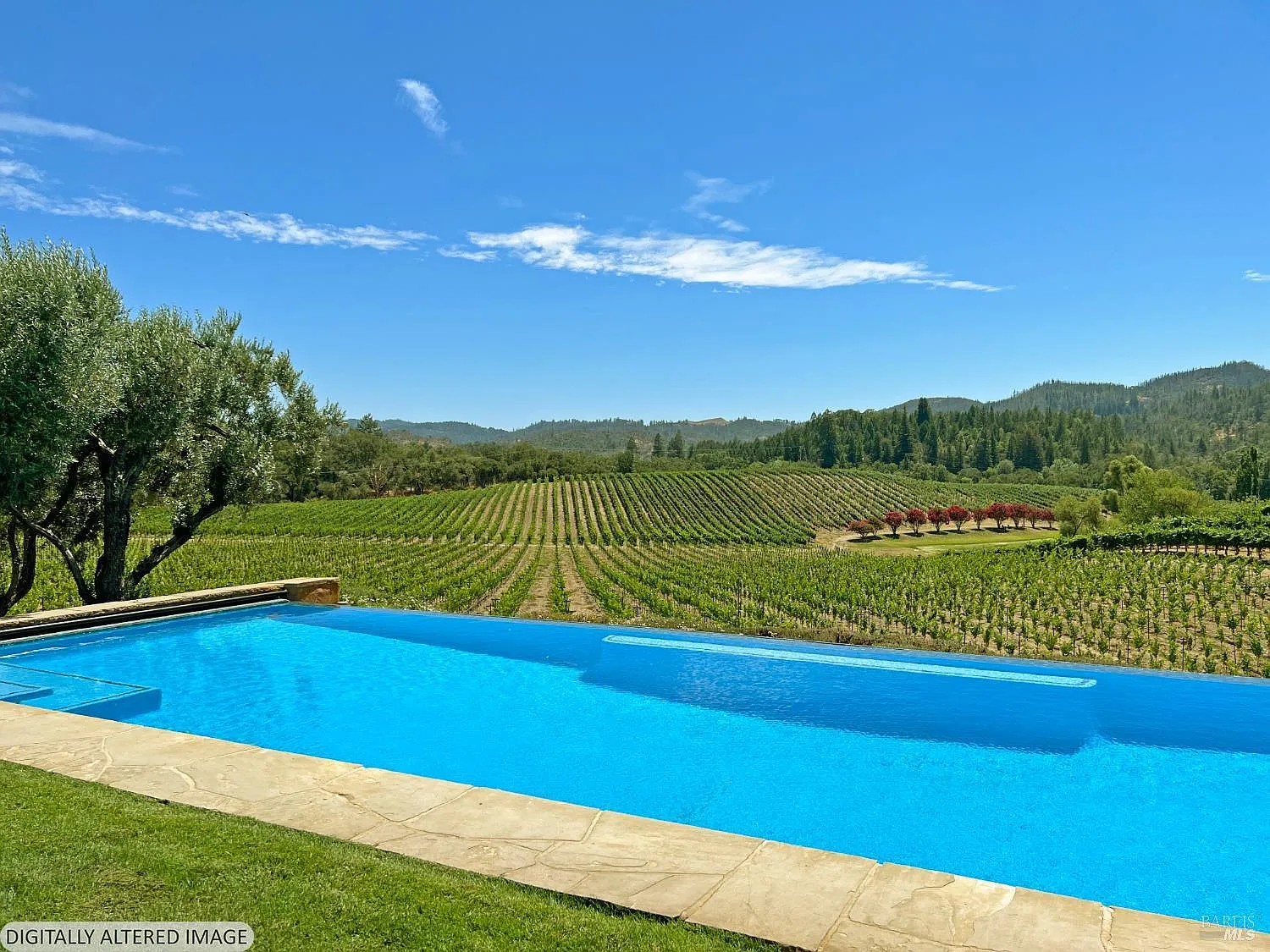 8320 Franz Valley Road - Photo 3