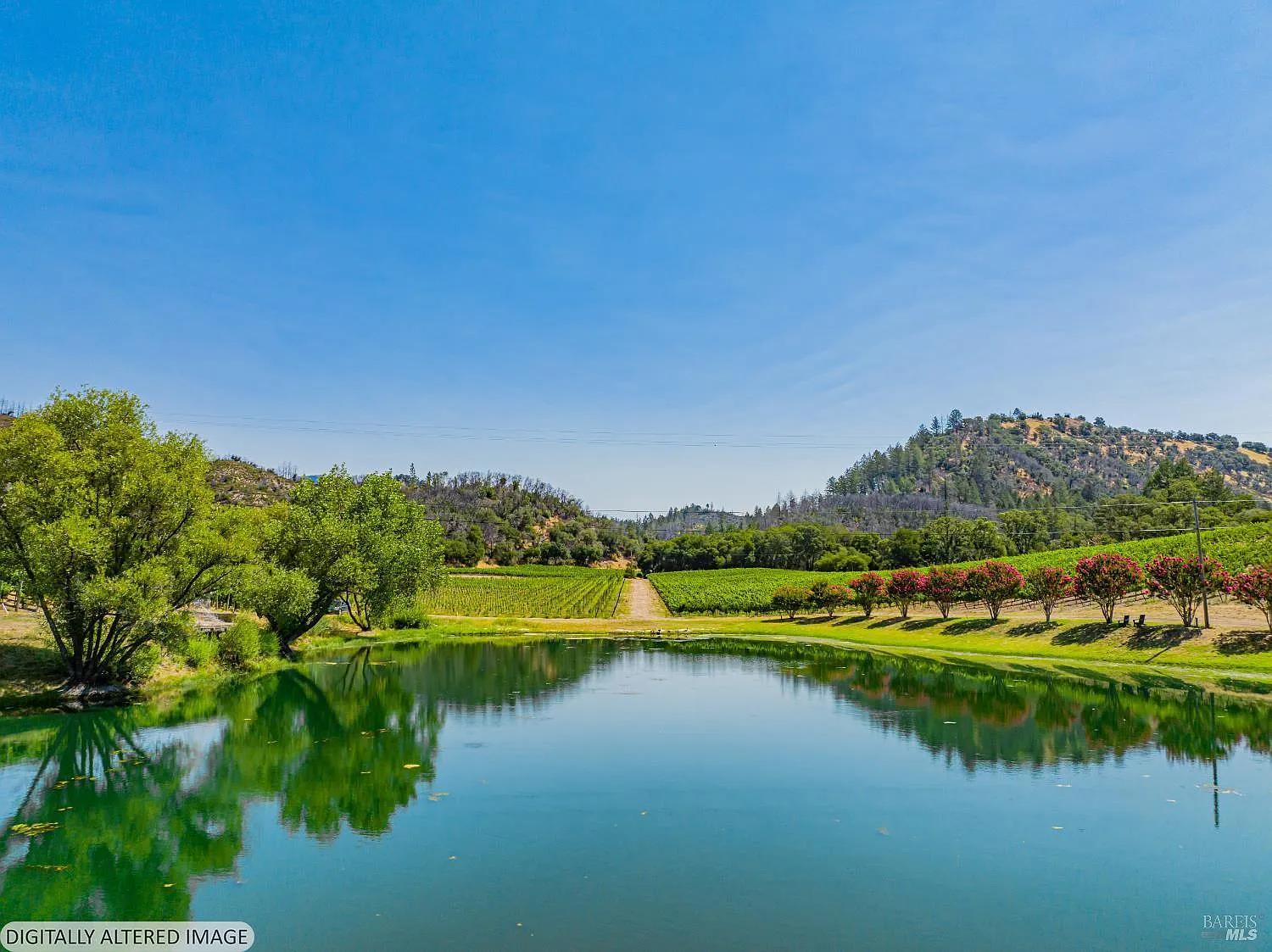 8320 Franz Valley Road - Photo 6