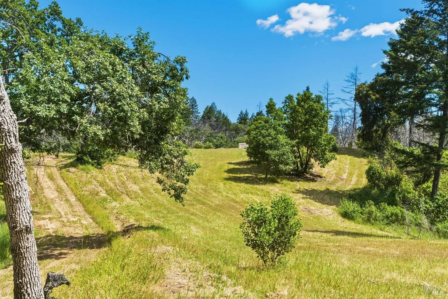 3444 Chicken Ridge Road - Photo 1