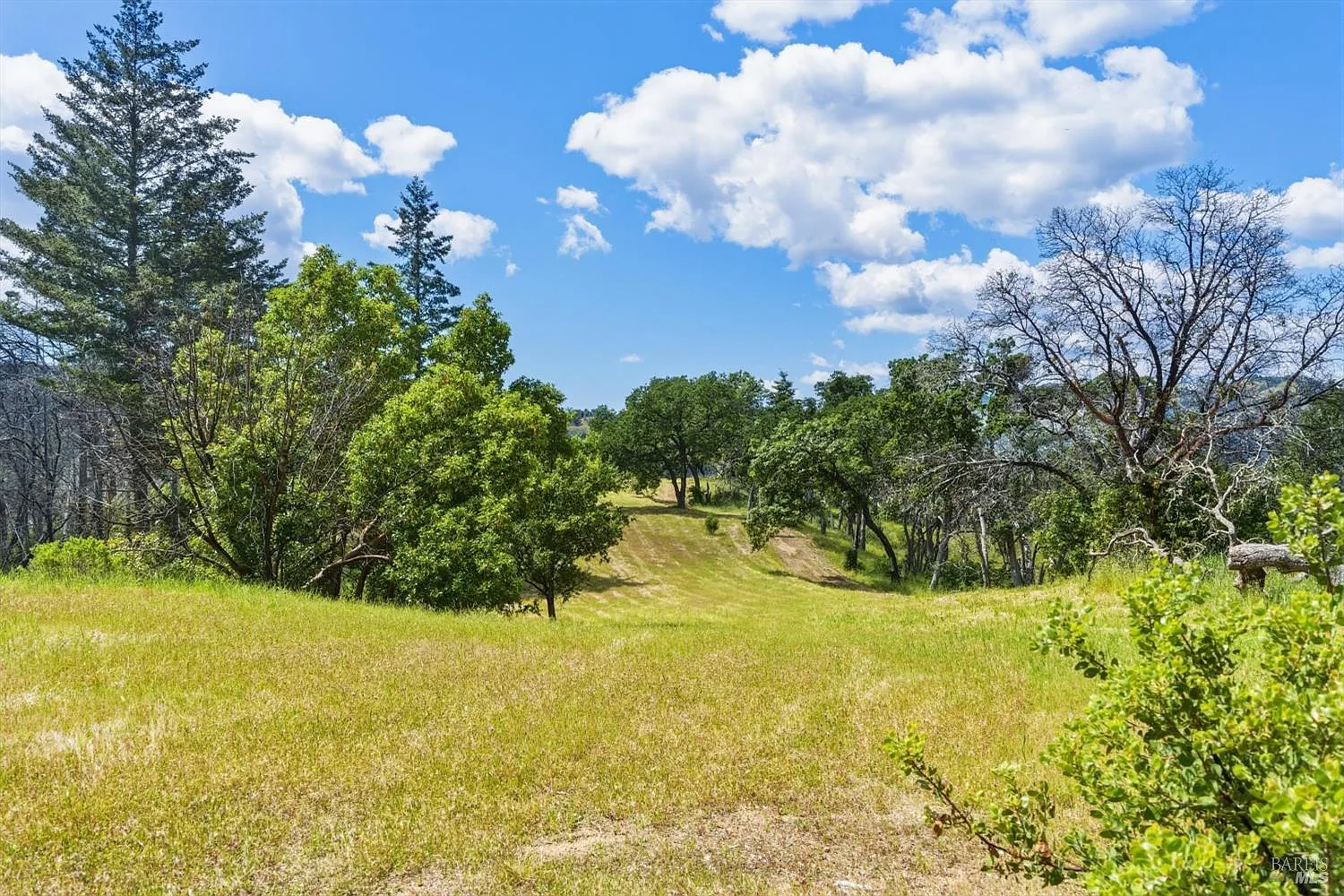 3444 Chicken Ridge Road - Photo 2
