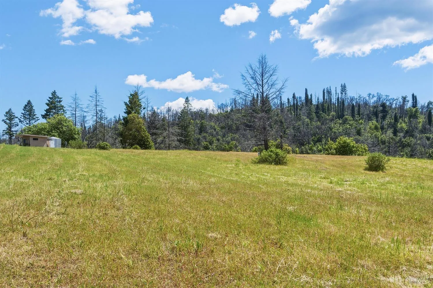 3444 Chicken Ridge Road - Photo 11