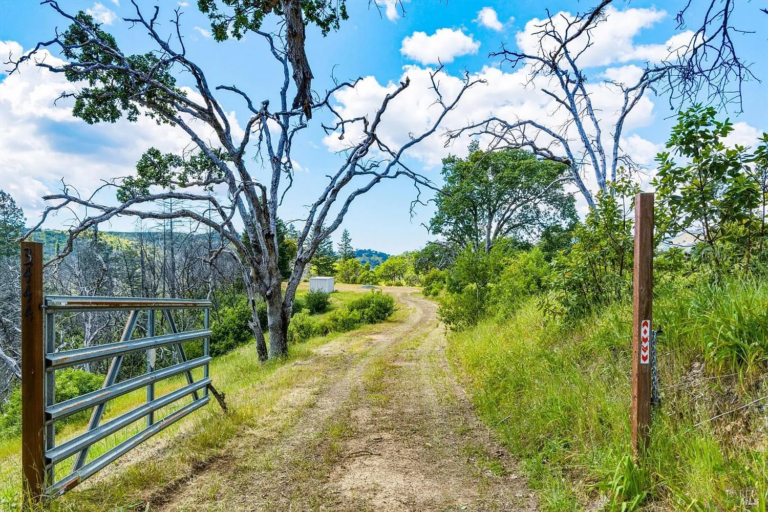3444 Chicken Ridge Road - Photo 3