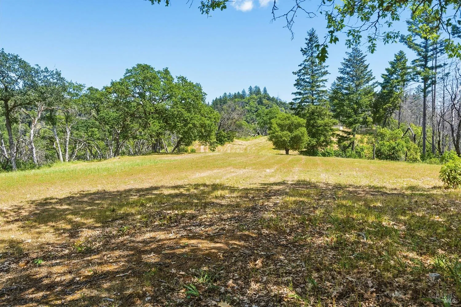 3444 Chicken Ridge Road - Photo 4
