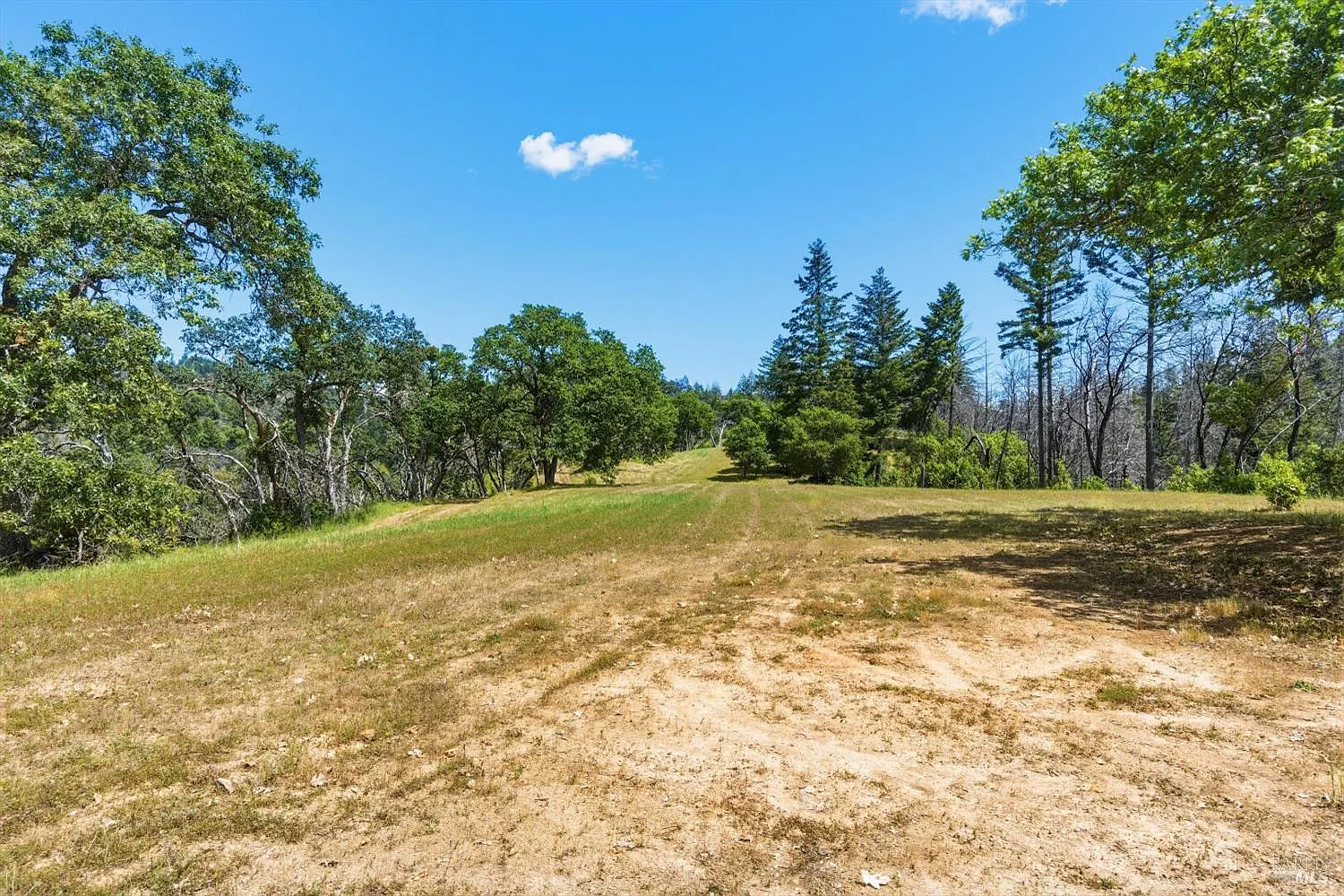 3444 Chicken Ridge Road - Photo 5