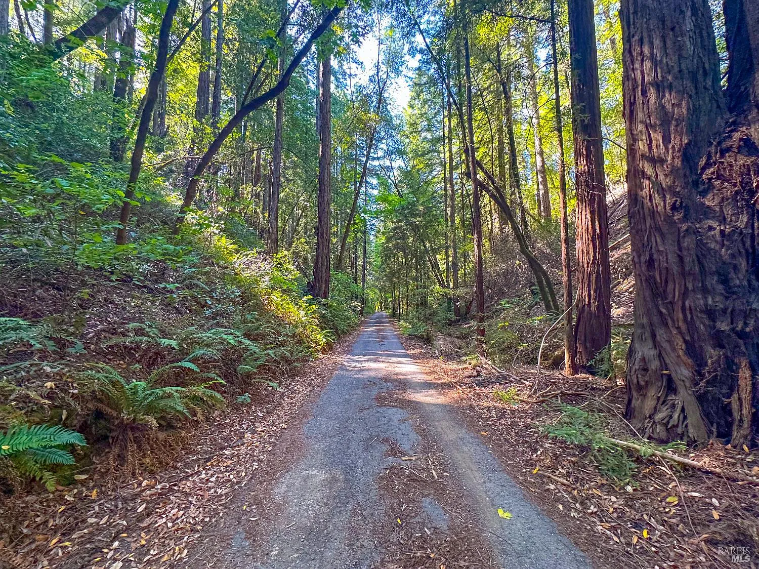 3150 Mill Creek Road - Photo 4
