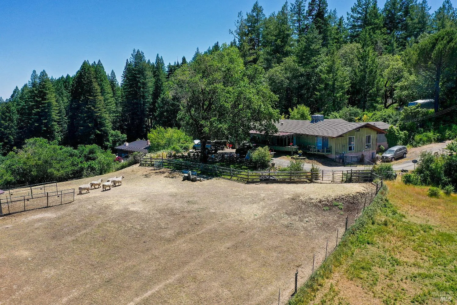 3150 Mill Creek Road - Photo 5