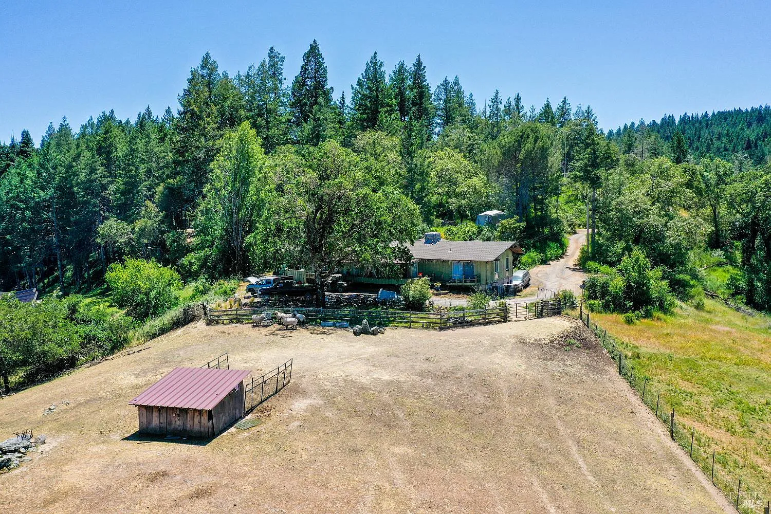 3150 Mill Creek Road - Photo 9