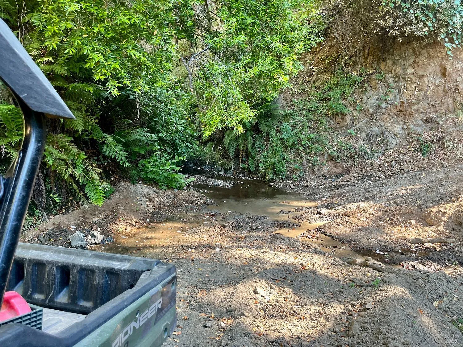 9007 - 9027 Stewarts Point Skaggs Springs Road - Photo 11
