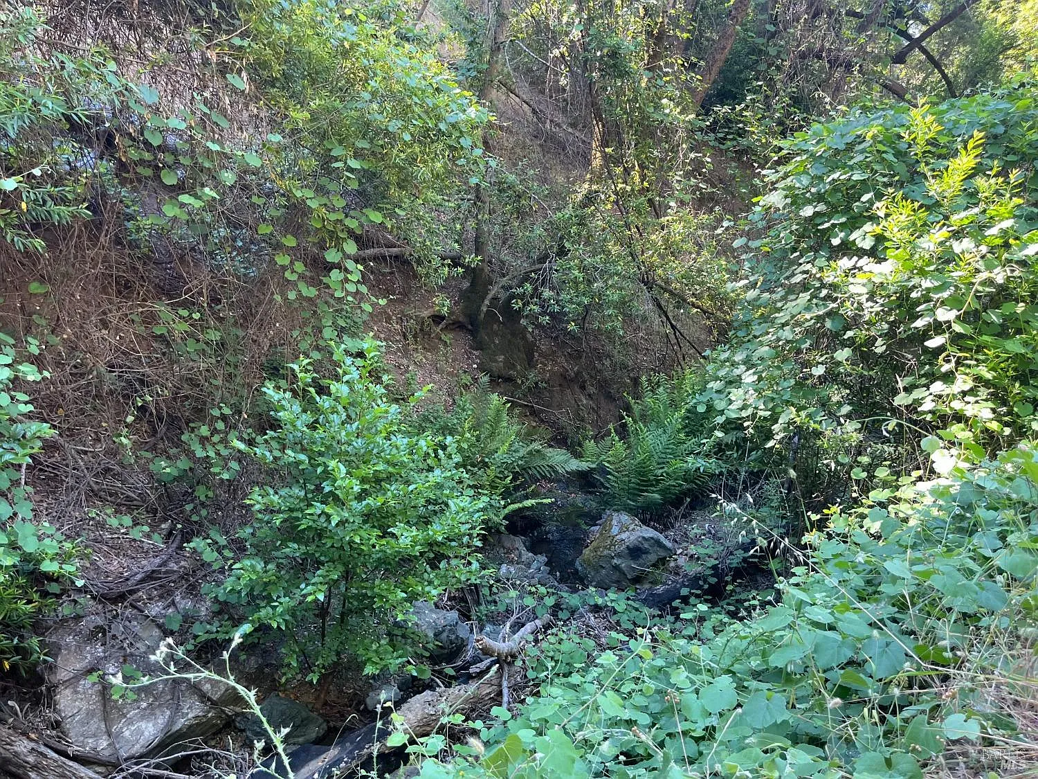 9007 - 9027 Stewarts Point Skaggs Springs Road - Photo 12