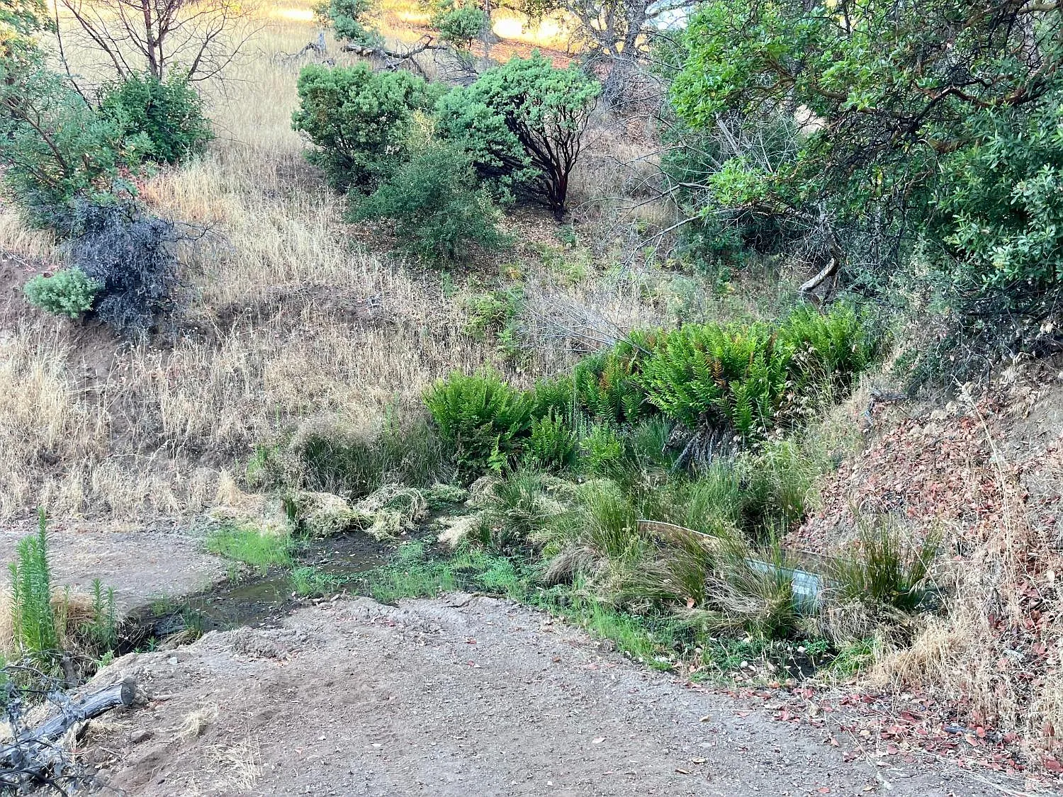 9007 - 9027 Stewarts Point Skaggs Springs Road - Photo 10