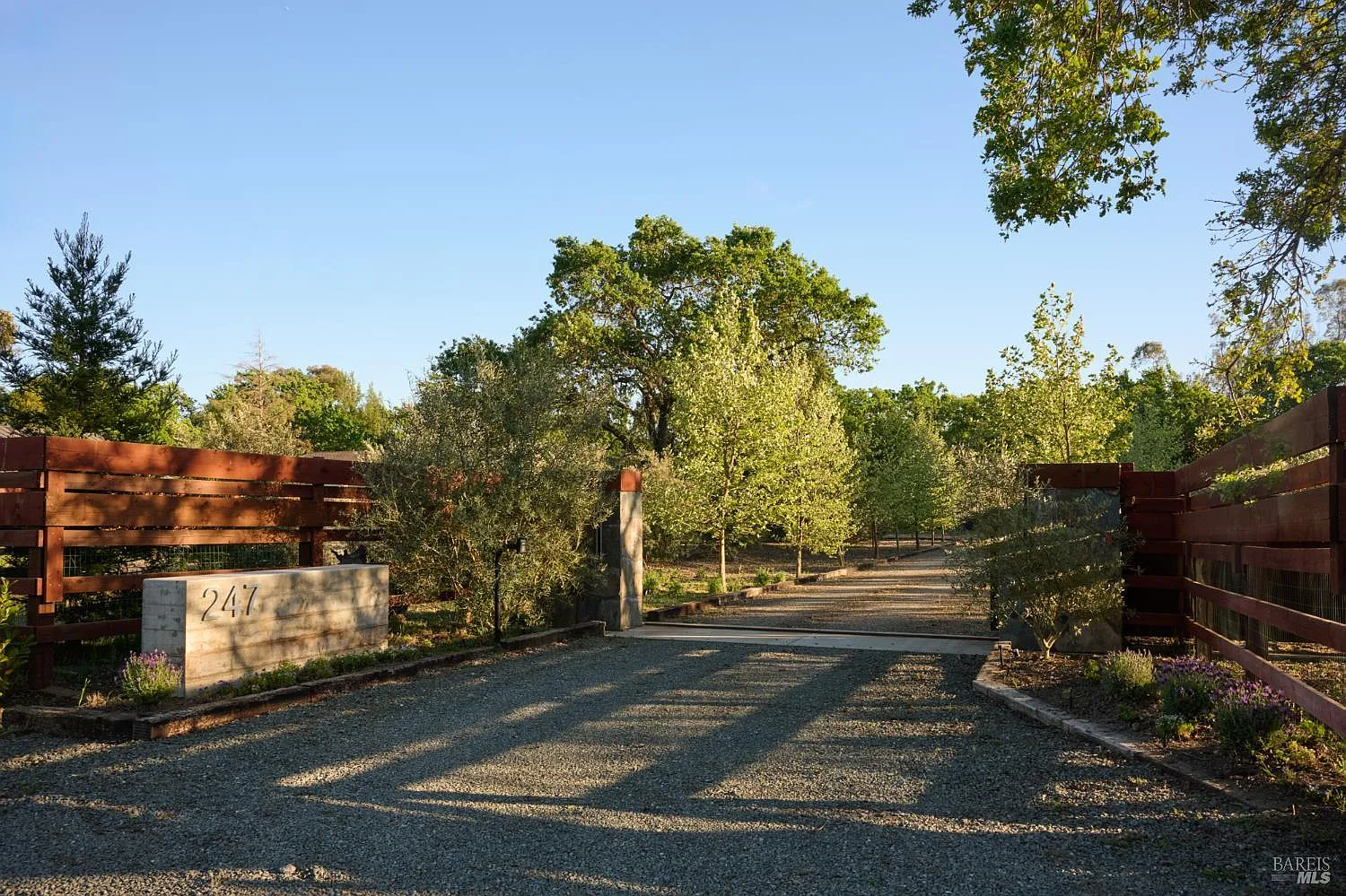 247 Fisher Lane - Photo 3