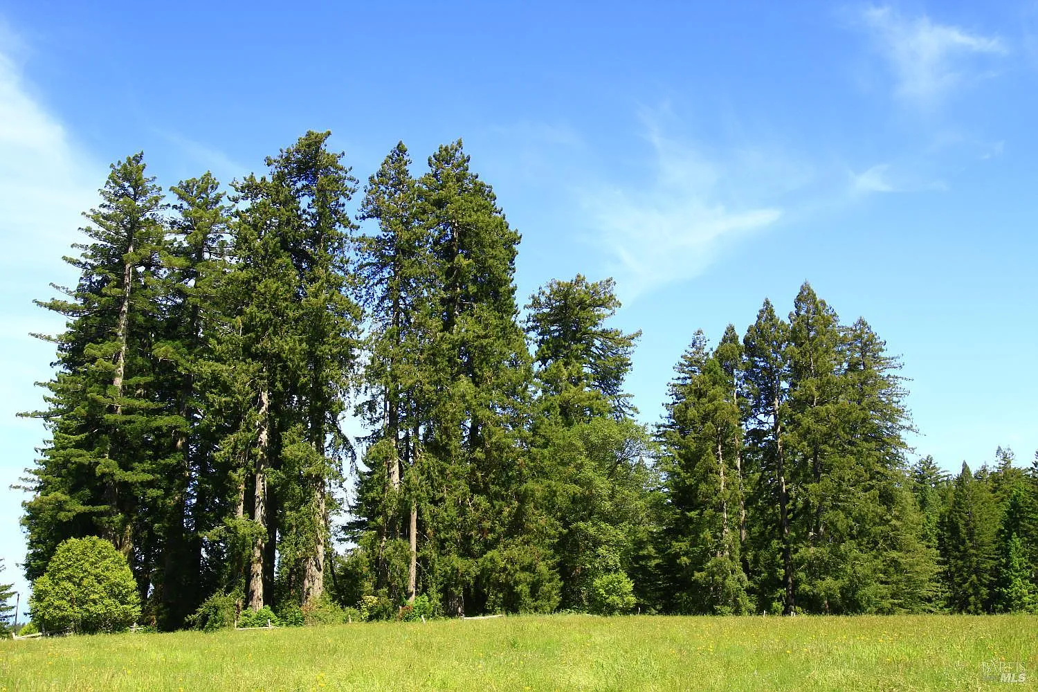 31010 Stewarts Point-Skaggs Springs Road - Photo 11