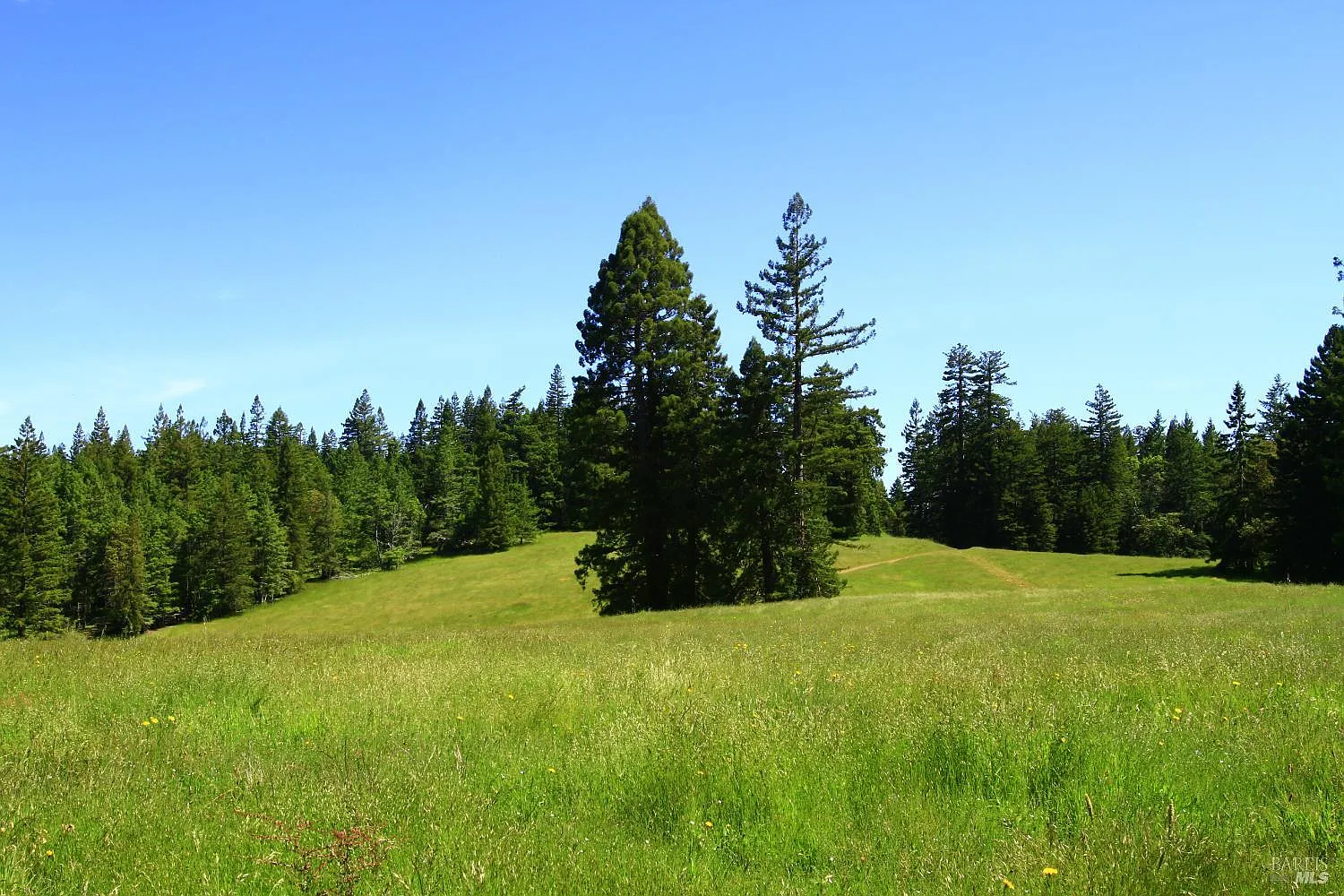 31010 Stewarts Point-Skaggs Springs Road - Photo 12