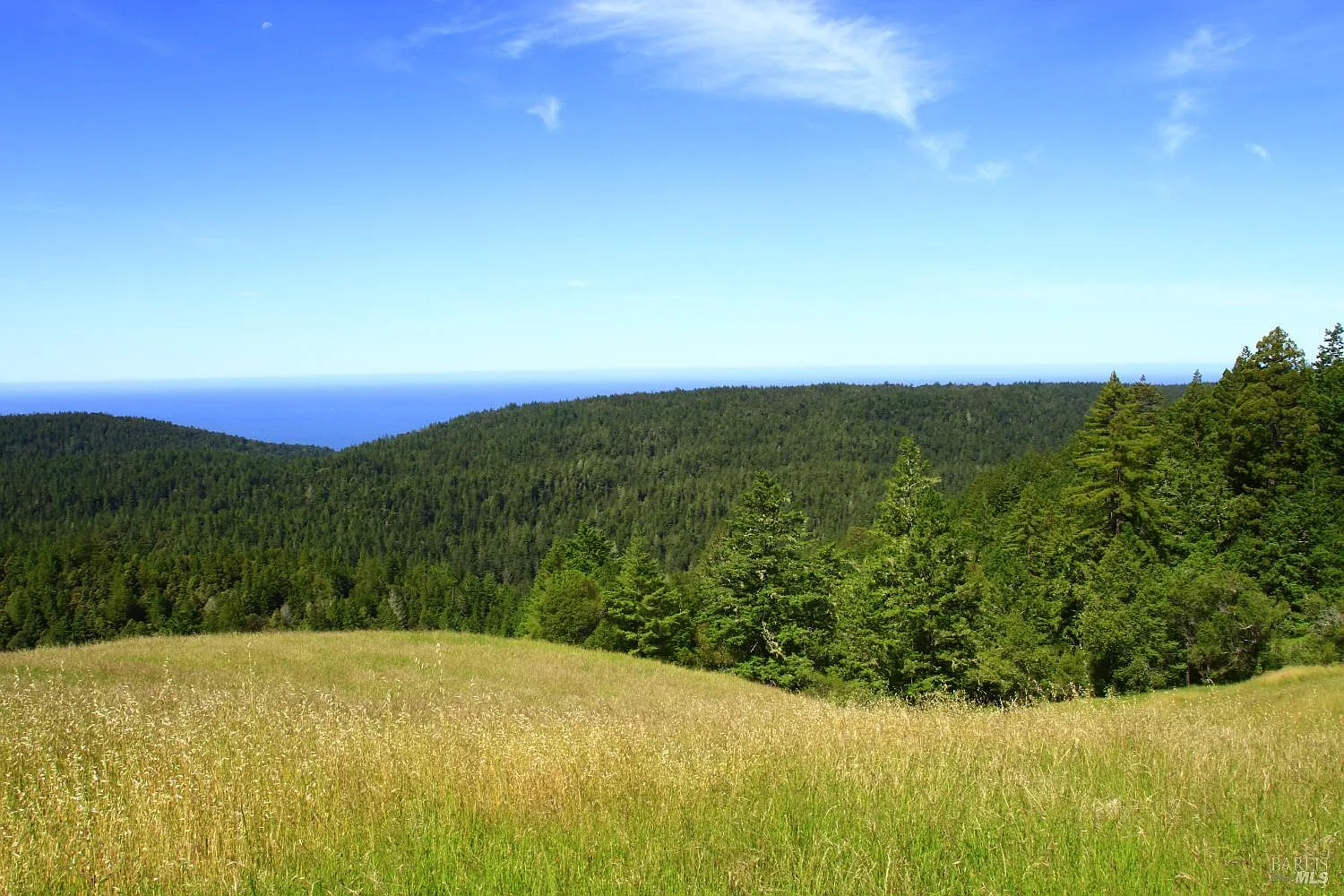 31010 Stewarts Point-Skaggs Springs Road - Photo 6