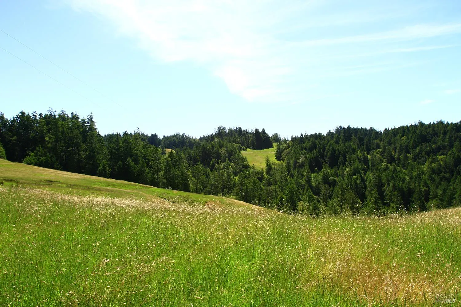 31010 Stewarts Point-Skaggs Springs Road - Photo 8