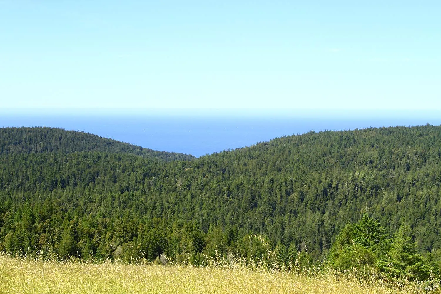 31010 Stewarts Point-Skaggs Springs Road - Photo 9