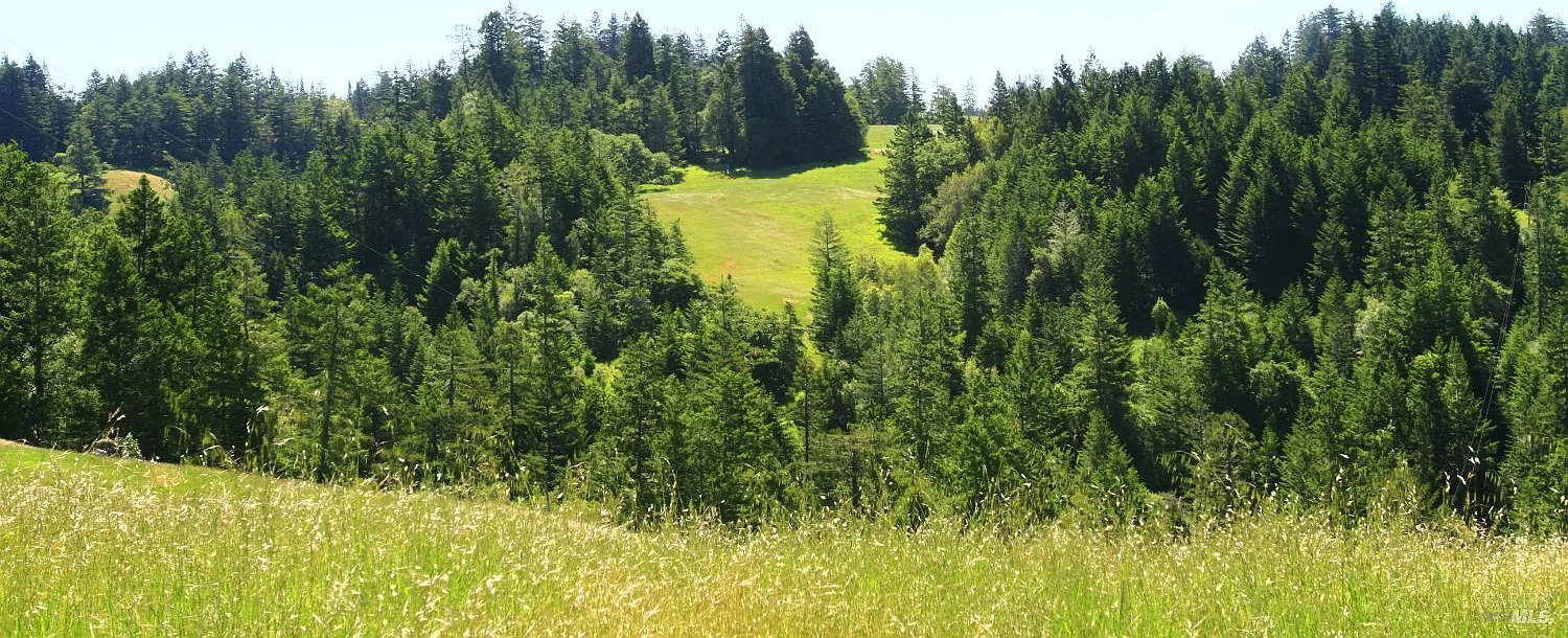 31010 Stewarts Point-Skaggs Springs Road - Photo 10