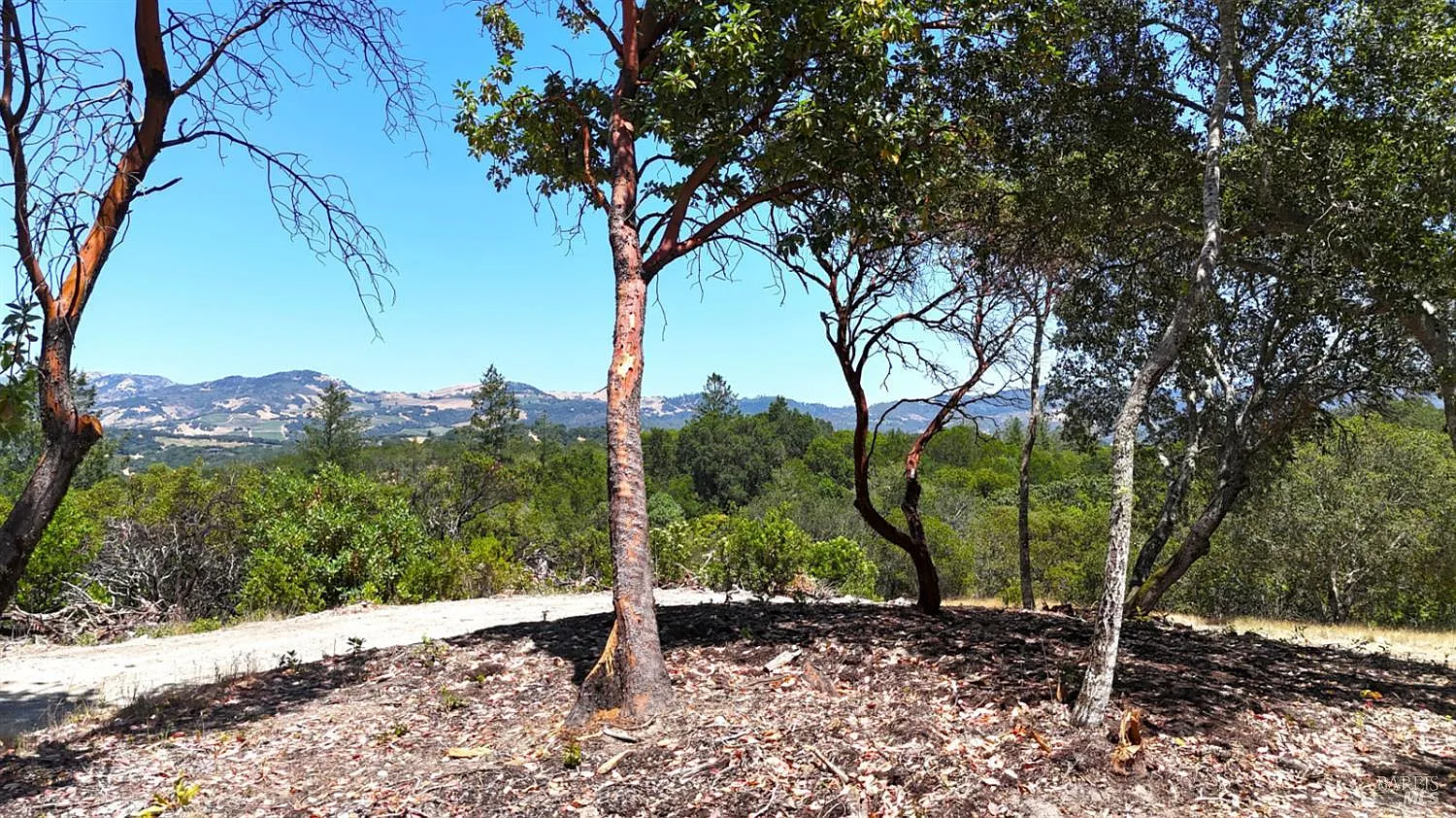 6555 - Parcel 3 Enterprise Road - Photo 6