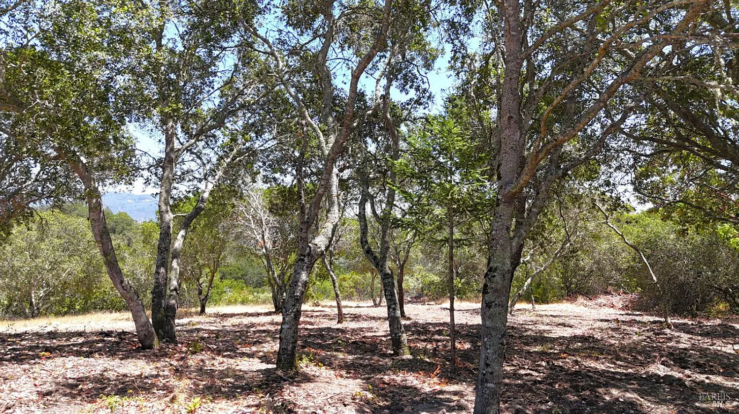 6555 - Parcel 3 Enterprise Road - Photo 7