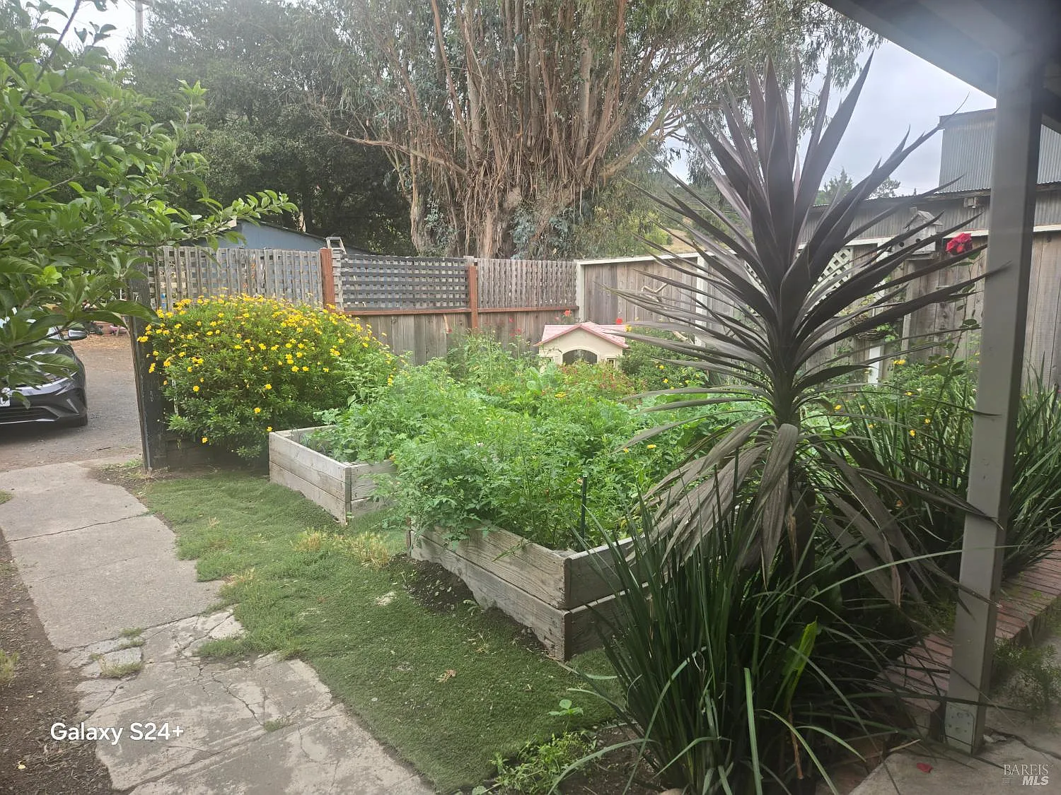 3825 - 3823 Petaluma Hill Road - Photo 12