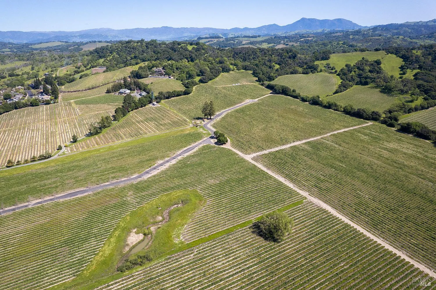 1276 Jensen Lane LOT 1 - Photo 2
