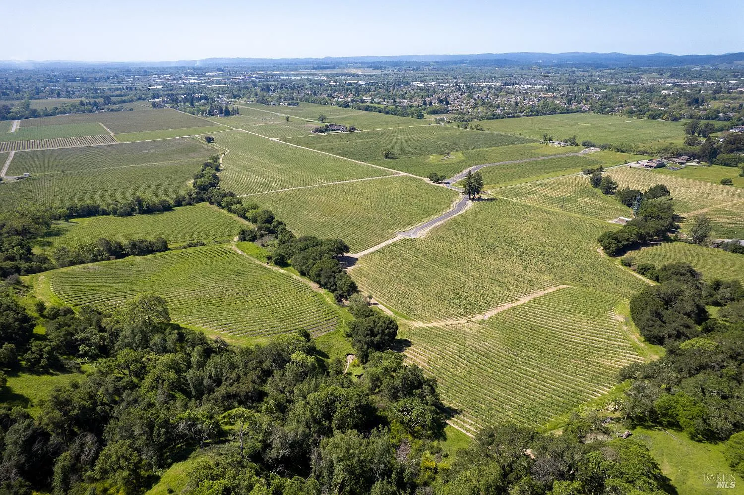1276 Jensen Lane LOT 1 - Photo 8