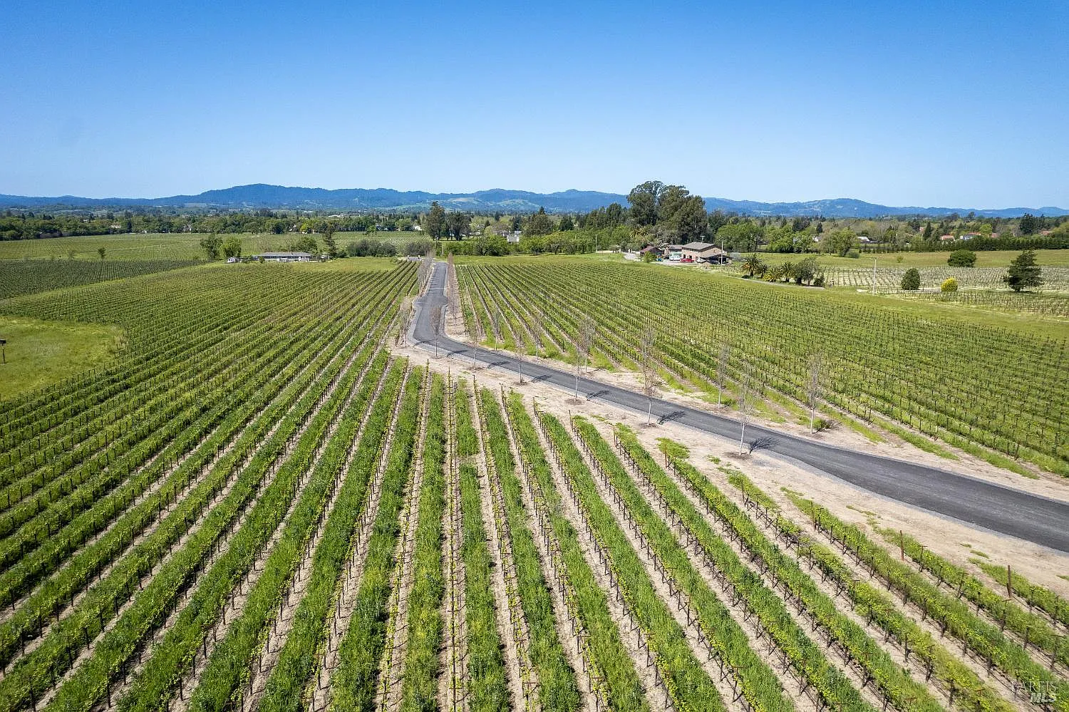 1276 Jensen Lane LOT 2 - Photo 4