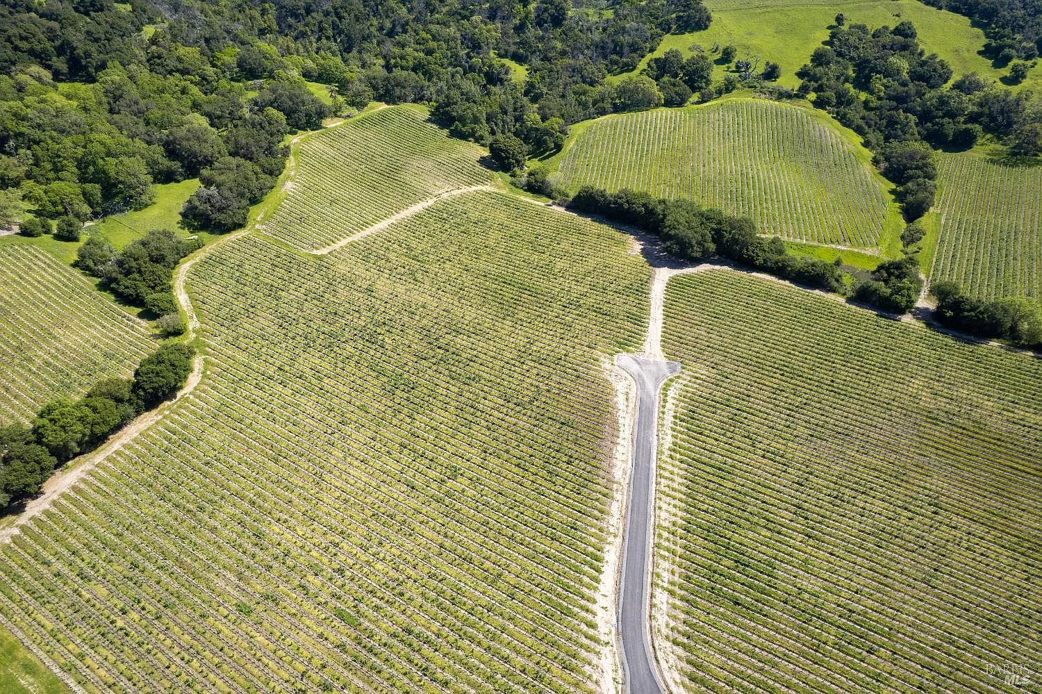1276 Jensen Lane LOT 2 - Photo 6