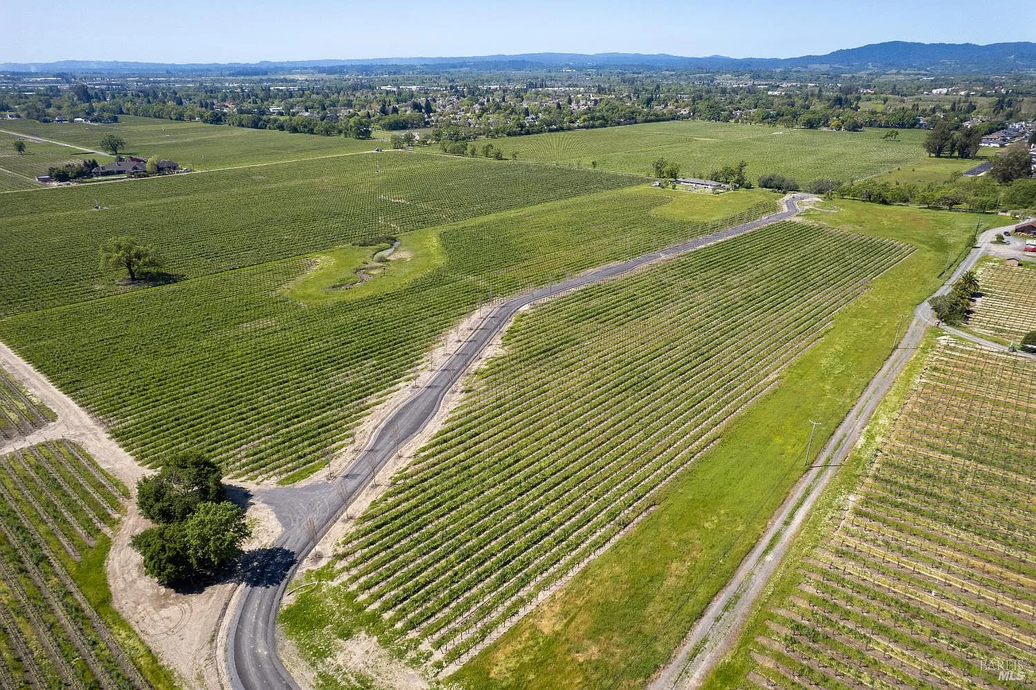 1276 Jensen Lane LOT 3 - Photo 5