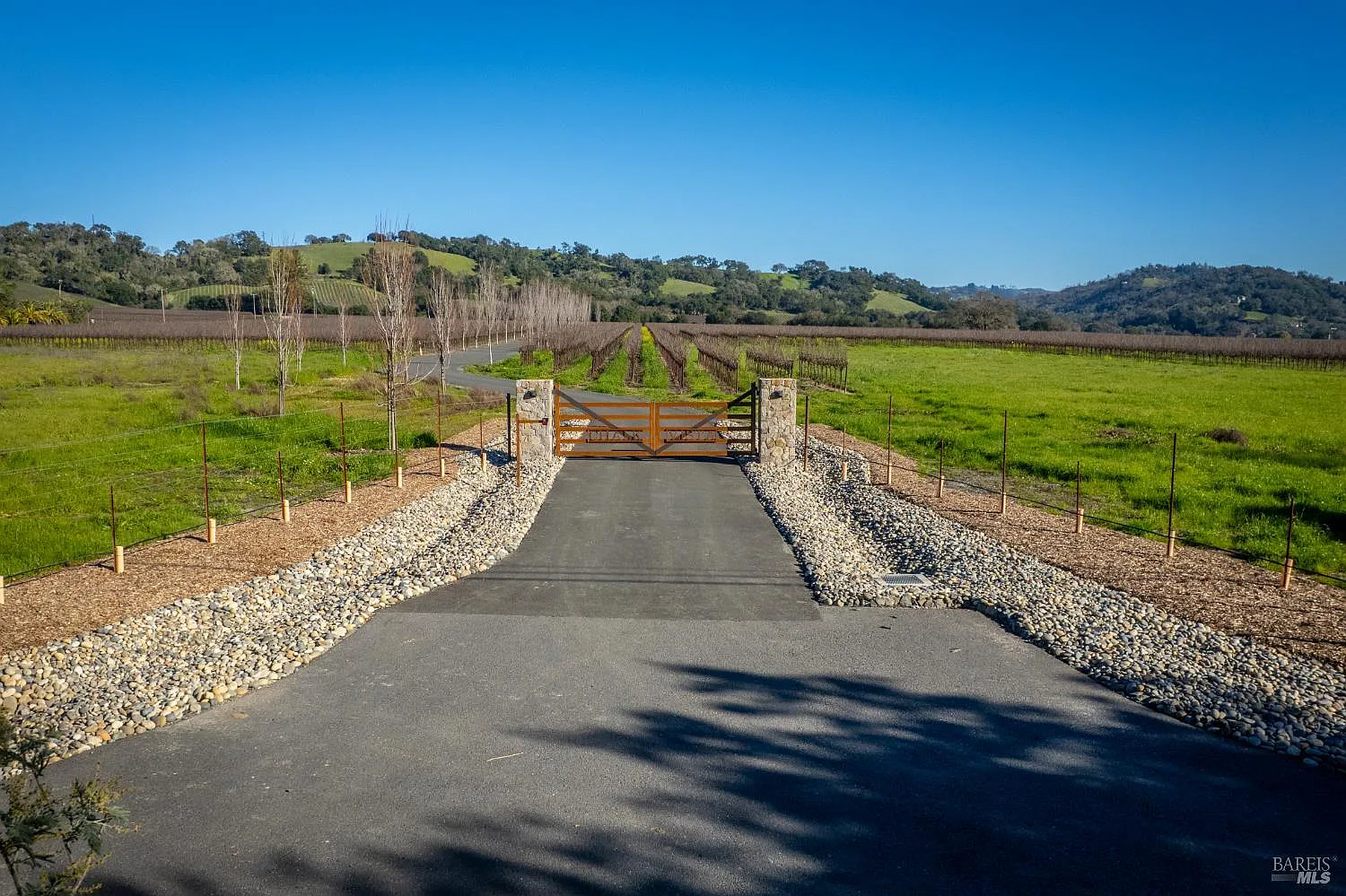 1276 Jensen Lane LOT 3 - Photo 6