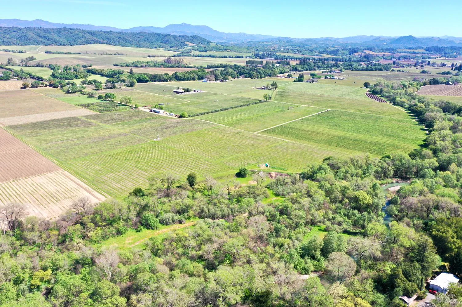 4304 Dry Creek Road - Photo 11