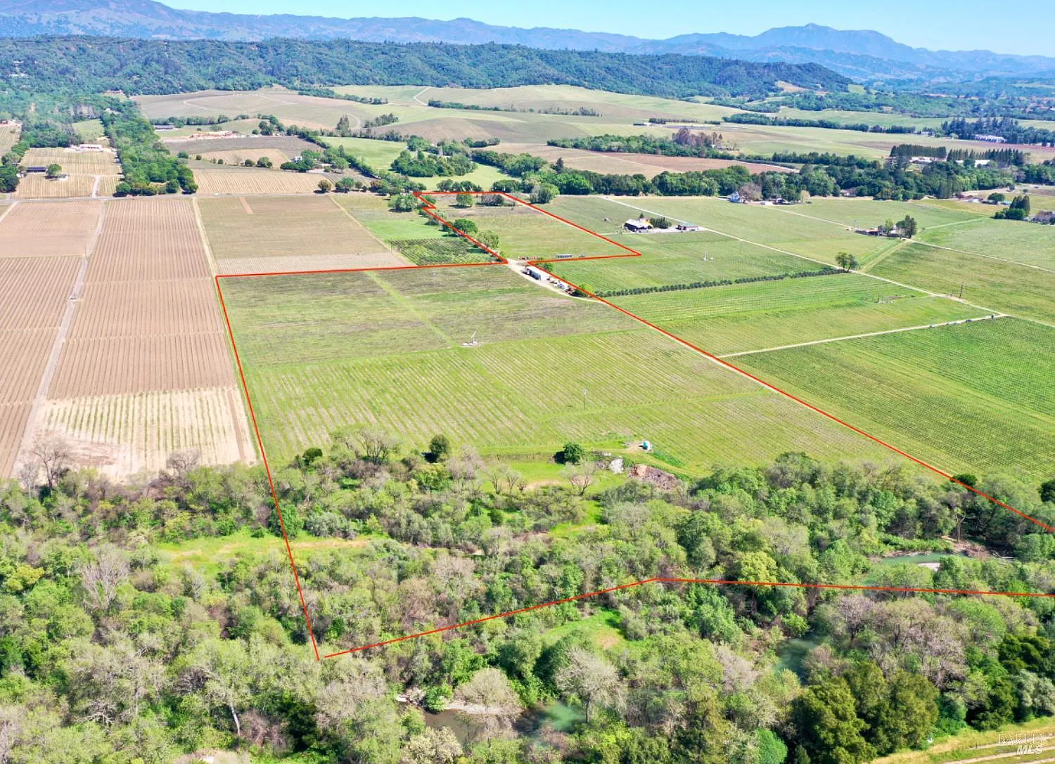 4304 Dry Creek Road - Photo 12