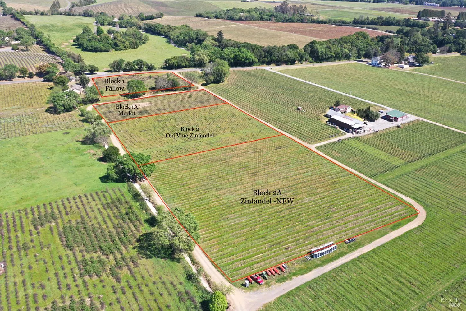 4304 Dry Creek Road - Photo 9