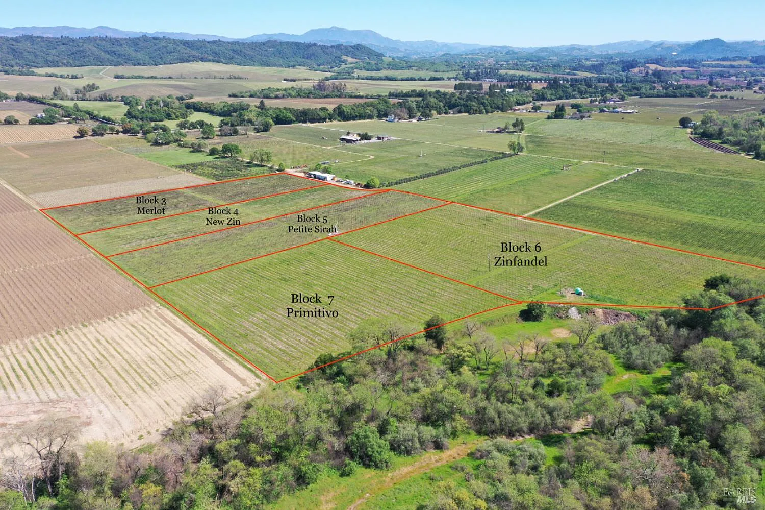 4304 Dry Creek Road - Photo 10