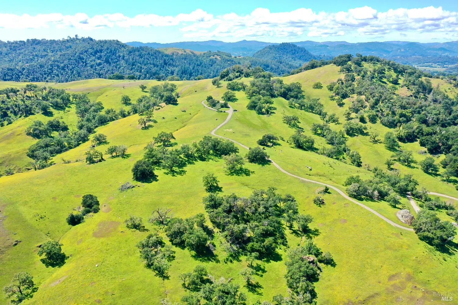5520 - 2 W Soda Rock Lane - Photo 4