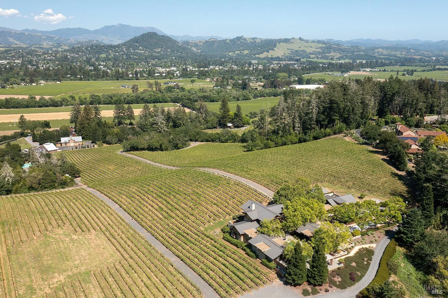 437 W Dry Creek Road - Photo 2