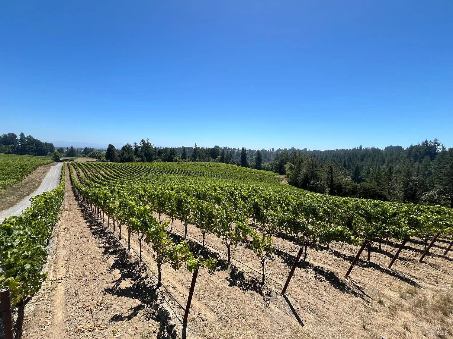 11480 Graton Road - in Sebastopol, CA