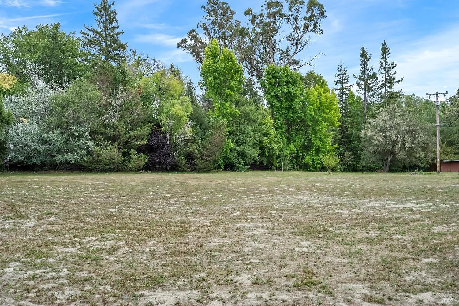 8157 Mill Station Road - Photo 5