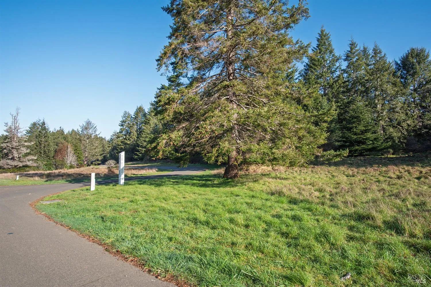 36231 Timber Ridge Road - Photo 2