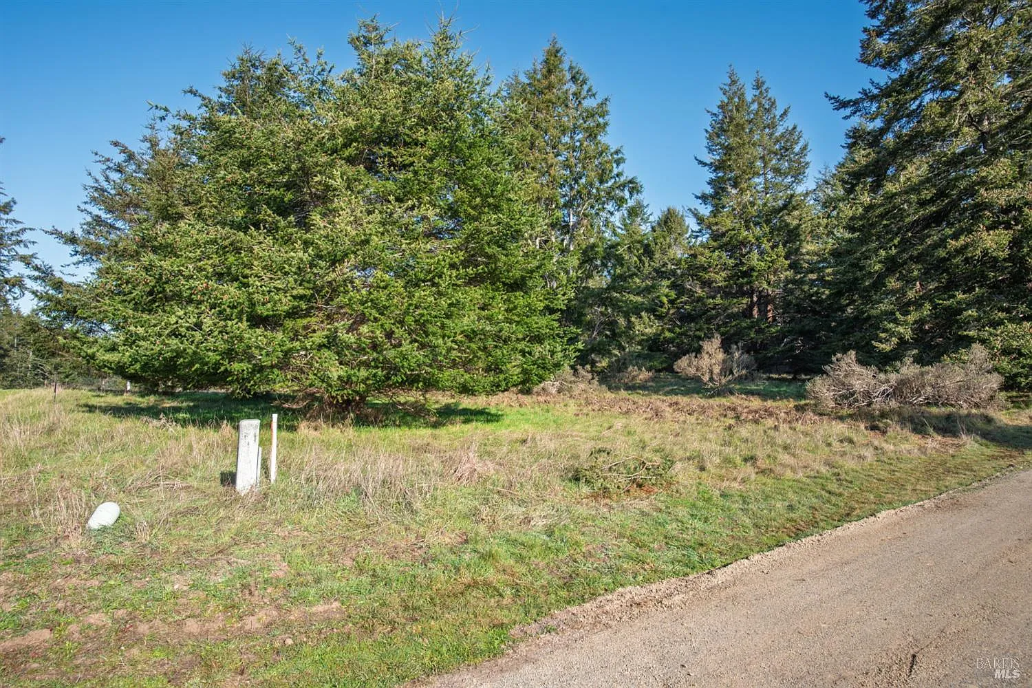 36231 Timber Ridge Road - Photo 7