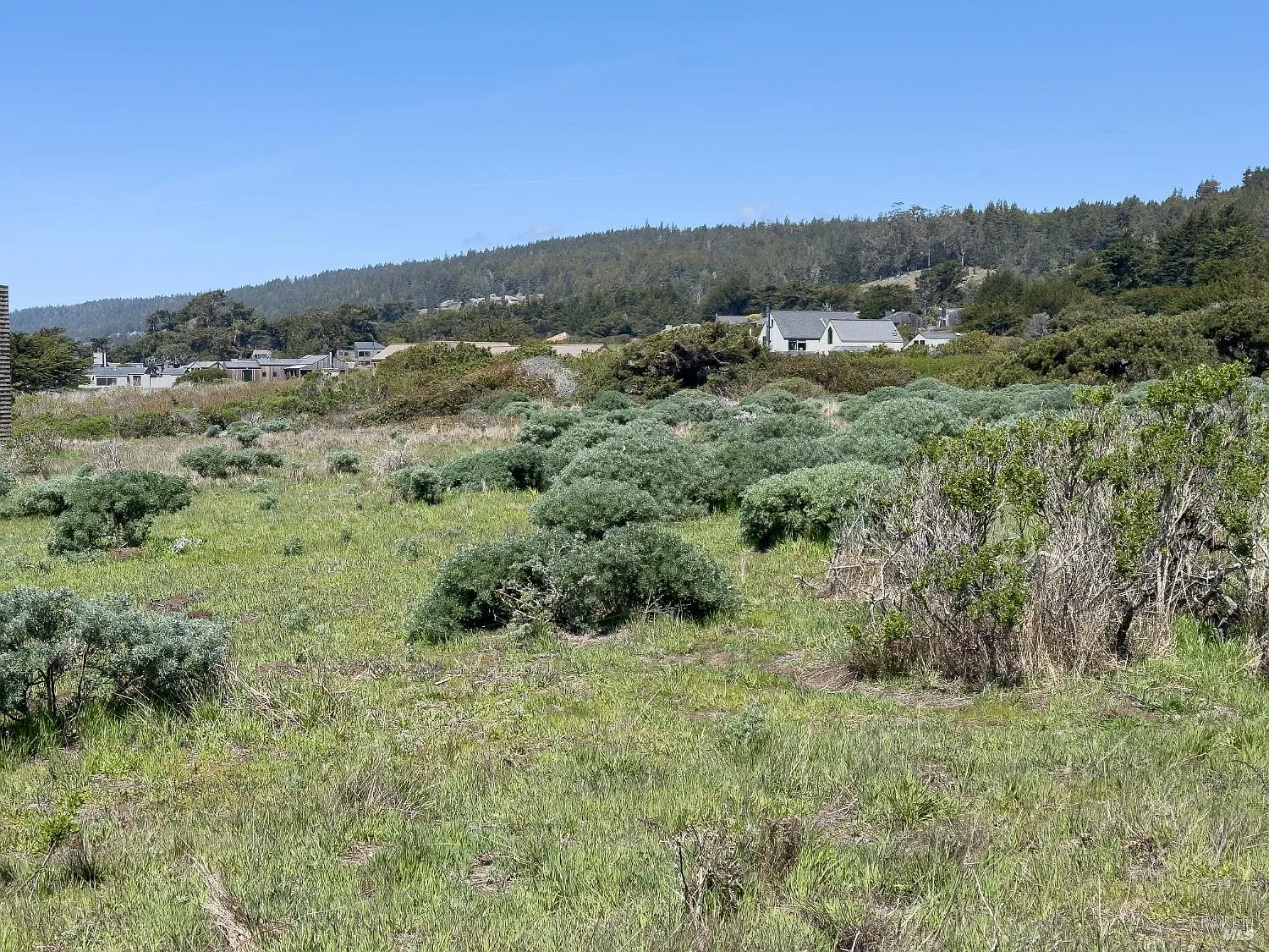 36910 Green Cove Drive - Photo 11