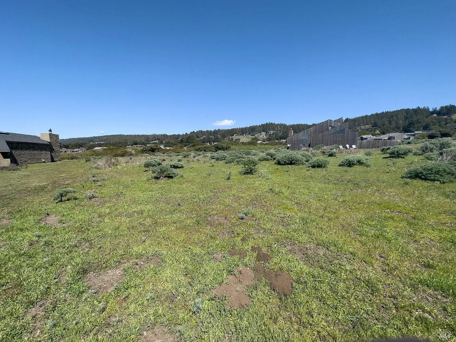 36910 Green Cove Drive - Photo 12