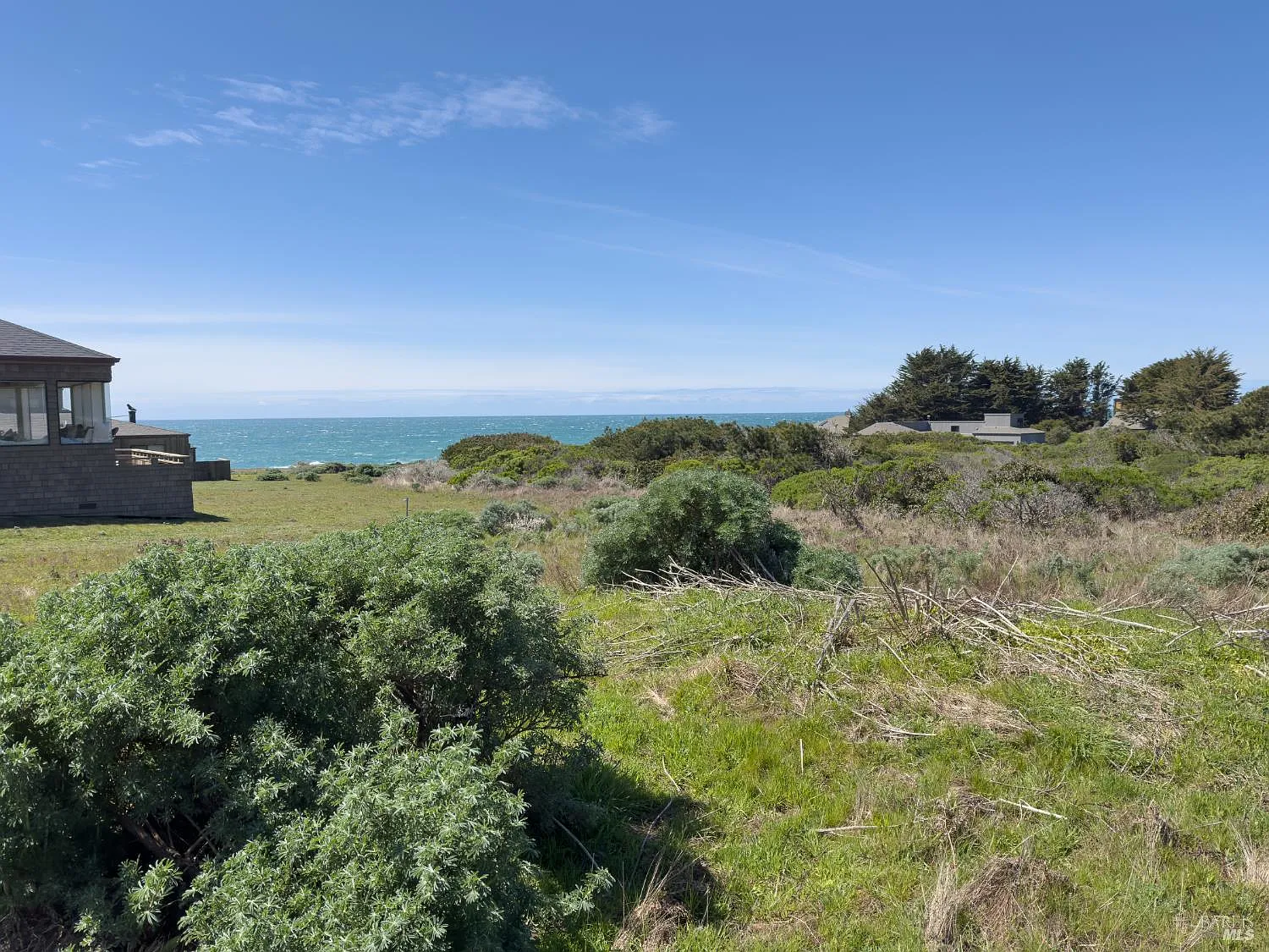 36910 Green Cove Drive - Photo 3